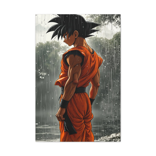 Anime Collection