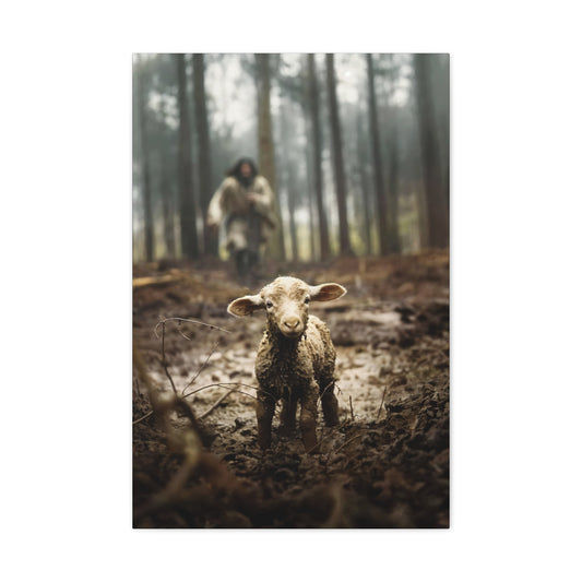 Rescue of the Lost Sheep